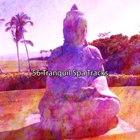 Meditation - 56 Tranquil Spa Tracks