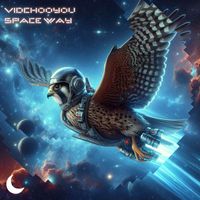 VidChooYou - Space Way