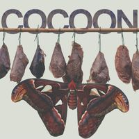 Various Artists - Cocoon