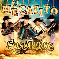Sonoreños del Compa Tico - El Mecatito (En Vivo)