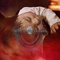 Mother Nature Sound FX - 36 Incoming Dreams