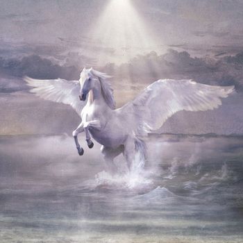 Cosmo - Sulle ali del cavallo bianco