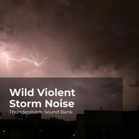 Thunderstorm Sound Bank, Sounds of Thunderstorms & Rain, Thunderstorms Sleep Sounds - Wild Violent Storm Noise