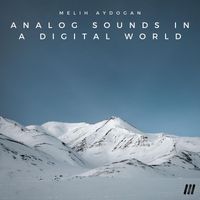 Melih Aydogan - Analog Sounds in a Digital World