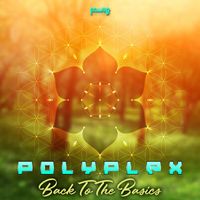 Polyplex - Back to the Basics