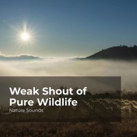 Nature Sounds, Sleep Sounds of Nature, Nature Sounds Nature Music - Weak Shout of Pure Wildlife