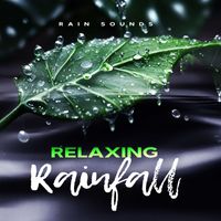 Rain Sounds - Relaxing Rainfall