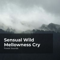 Forest Sounds, Ambient Forest, Rainforest Sounds - Sensual Wild Mellowness Cry