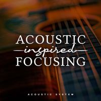 Acoustic System - Acoustic Inspired Focusing