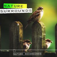 Nature Recordings - Nature Surrounds