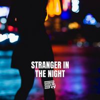 Gestört Aber GeiL - Stranger in the night