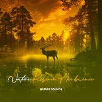 Nature Sounds - Nature Reserve Ambience