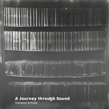 Various Artists - A Journey through Sound