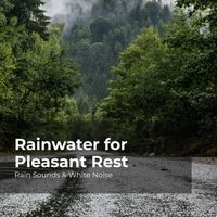 Rain Sounds & White Noise, Raindrops Sleep, Sleep Rain - Rainwater for Pleasant Rest