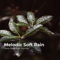 Deep Sleep Rain Sounds, Rain Meditations, Rain Sounds Collection - Melodic Soft Rain