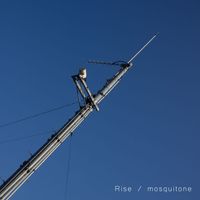 mosquitone - Rise