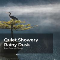 Rain Sounds Sleep, Rain Spa, Rain Sounds for Relaxation - Quiet Showery Rainy Dusk