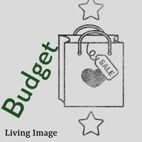 Living Image - Budget (Explicit)