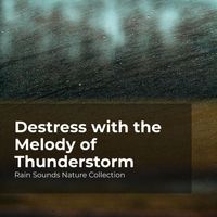 Rain Sounds Nature Collection, ASMR Rain Sounds, Sleepy Rain - Destress with the Melody of Thunderstorm