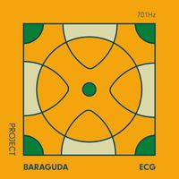 Project Baraguda, Rob van Barschot - ECG