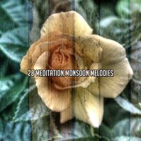 Thunderstorm - 28 Meditation Monsoon Melodies