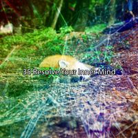 White Noise Relaxation - 35 Resolve Your Inner Mind