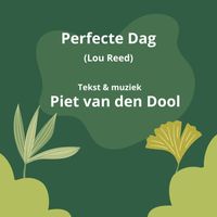 Piet van den Dool - Perfecte Dag