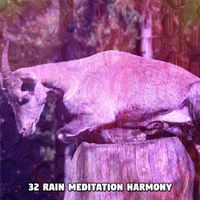 Thunderstorms - 32 Rain Meditation Harmony