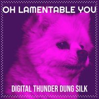 Digital Thunder Dung Silk - Oh Lamentable You