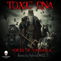 Toxic D.N.A - Voices of Valhalla