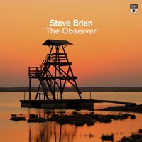 Steve Brian - The Observer