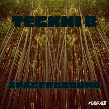 Teckni B - Spacerground