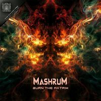 Mashrum - Burn The Matrix