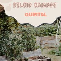 Delcio Campos - Quintal