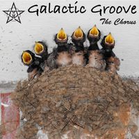 Galactic Groove - The Chorus (Explicit)