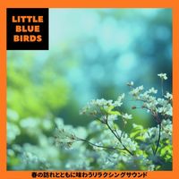 Little Blue Birds - 春の訪れとともに味わうリラクシングサウンド
