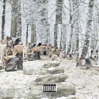 Fayn - Soundtrack for Wolves (Explicit)
