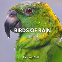 Rain and Chill - Birds of Rain