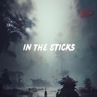 Sin - In The Sticks (Explicit)