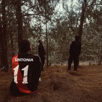 ACRUX - SINTONIA