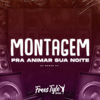 DJ MENOR Z4 and FreesTyle Sounds - Montagem pra Animar Sua Noite (Explicit)
