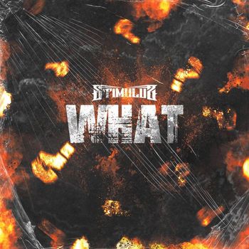 STIMULUS - What EP (Explicit)
