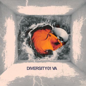 Various Artists - DIVERSITY01 VA