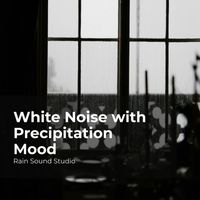 Rain Sound Studio, Meditation Rain Sounds, The Rain Library - White Noise with Precipitation Mood