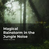 Forest Sounds, Ambient Forest, Rainforest Sounds - Magical Rainstorm in the Jungle Noise