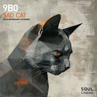 9b0 - Sad Cat (Nick Behrmann Remix)
