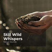 Nature Sounds, Sleep Sounds of Nature, Nature Sounds Nature Music - Still Wild Whispers