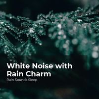 Rain Sounds Sleep, Rain Spa, Rain Sounds for Relaxation - White Noise with Rain Charm