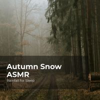 Rainfall for Sleep, Rain Shower, Rain Man Sounds - Autumn Snow ASMR