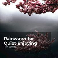 Rain Sounds, Natural Rain Sounds for Sleeping, Rain Storm Sample Library - Rainwater for Quiet Enjoying